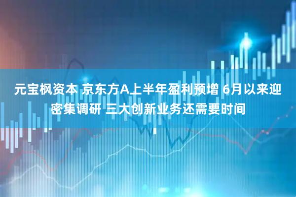 元宝枫资本 京东方A上半年盈利预增 6月以来迎密集调研 三大创新业务还需要时间